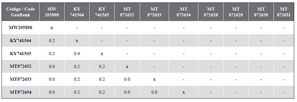 Matrix of interspecific and intraspecific genetic distances based on 488 bp sequences of the Cytochrome Oxidase I (COI) gene using the K2P nucleotide substitution evolution model (Kimura, 1980). The sequence generated in this study is highlighted in bold; the rest of the sequences were extracted from the GenBank genetic sequence database of the “National Center for Biotechnology Information” (https://www.ncbi.nlm.nih.gov/).