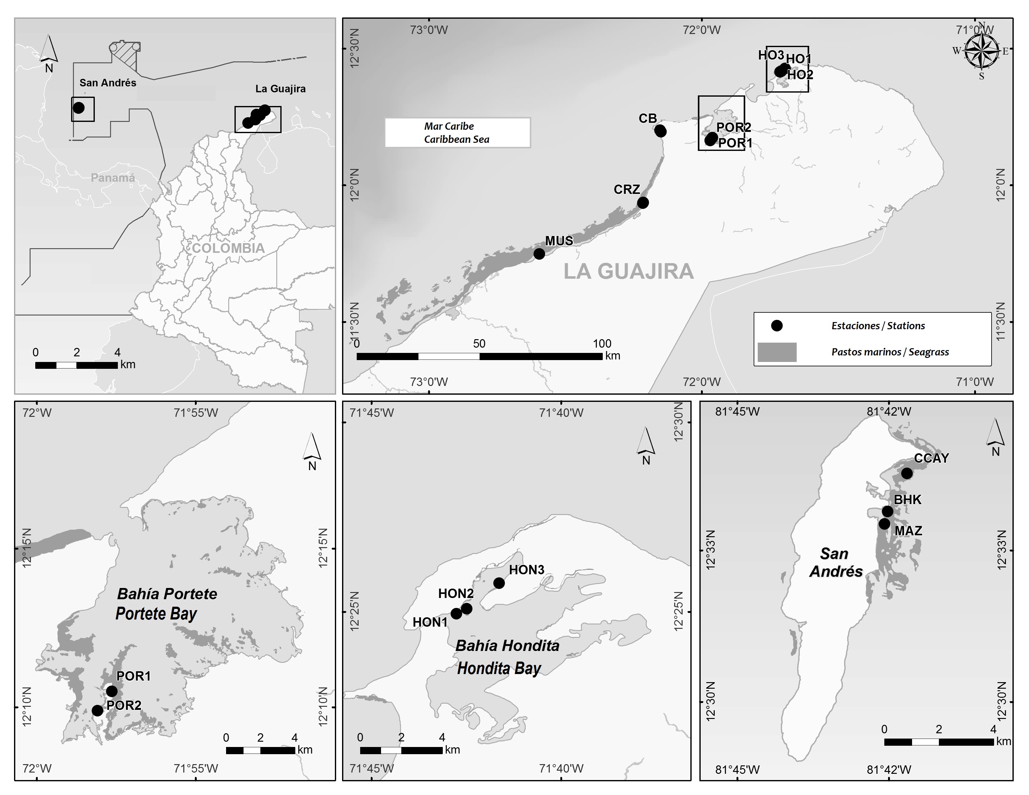 Sampling stations located in La Guajira and San Andrés, (Guajira with POR: Portete Bay, CB: Cabo de la Vela, CRZ: Carrizal, HON: Hondita Bay; San Andrés with CCAY: Cotton Cay, BHK: Hooker Bay, MAZ: Mar Azul) (Geographic Information Services Laboratory – Invemar, 2020).